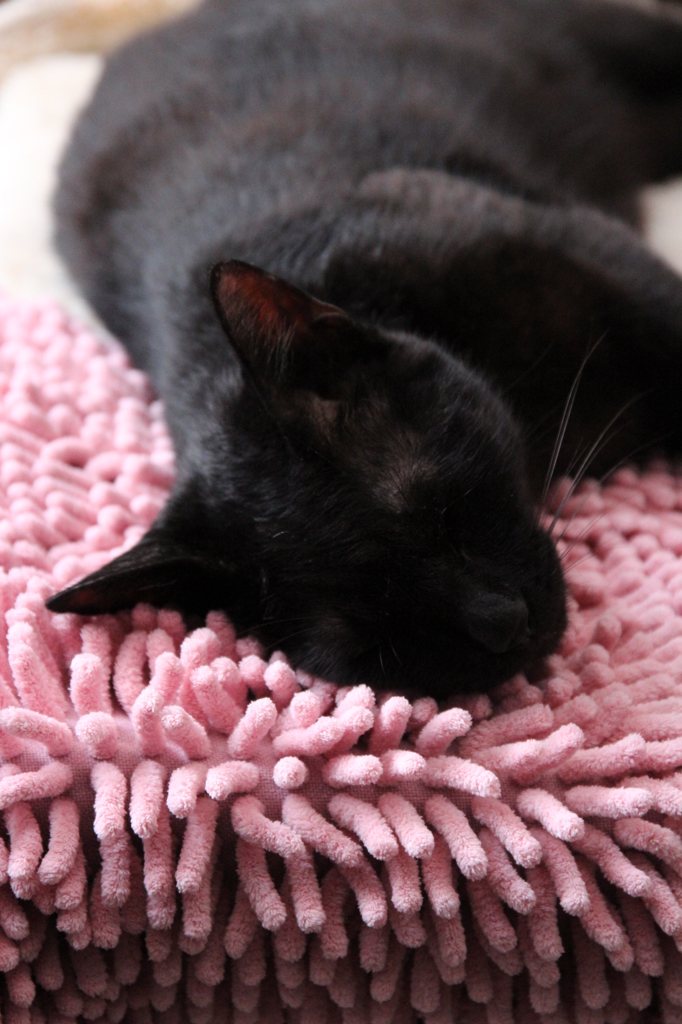 おかあさん、それは。