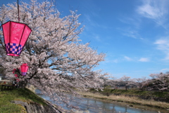 千本桜