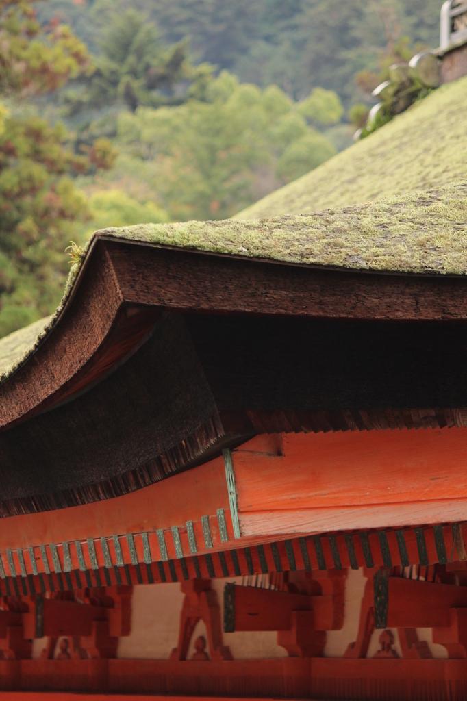 屋根