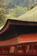 屋根