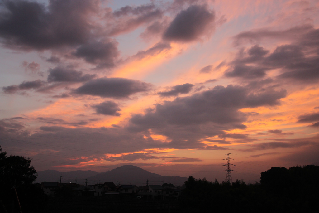 日没