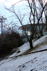 初雪