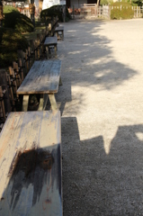 今日も並んでる＠縮景園