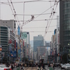横断歩道より。