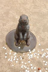 お金持ちのうさぎさん