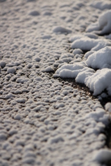 雪の日