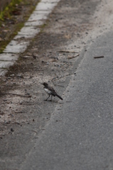 足がまた痛そうなの。