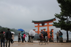 雨降り