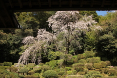 医光寺