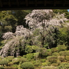 医光寺