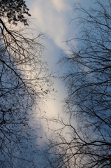 反りくり返って