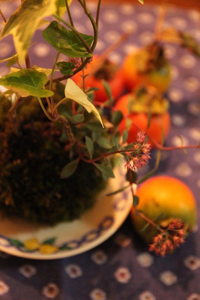 苔玉