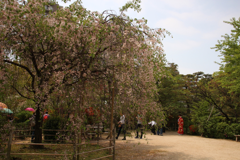 花嫁さん
