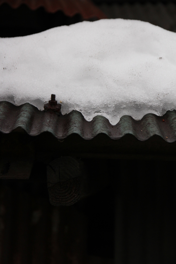 なみなみの雪