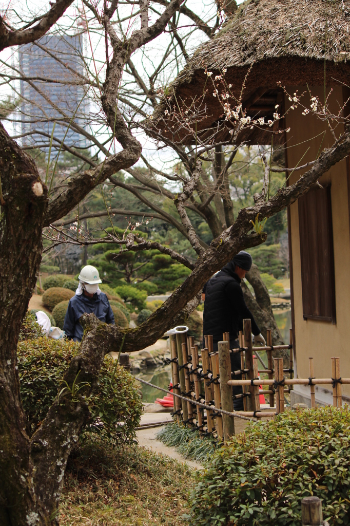 今日はなんかやってる＠縮景園