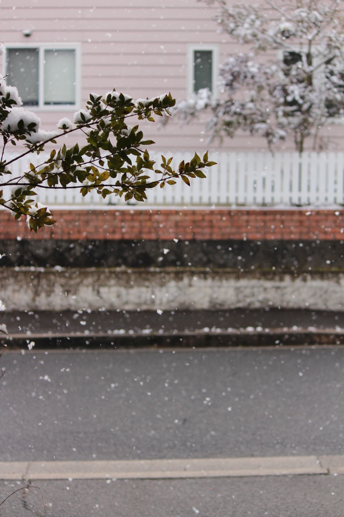 雪の日