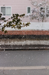 雪の日