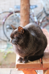おかあさん