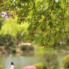 縮景園