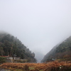 霧の町