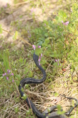 また目覚めてる。