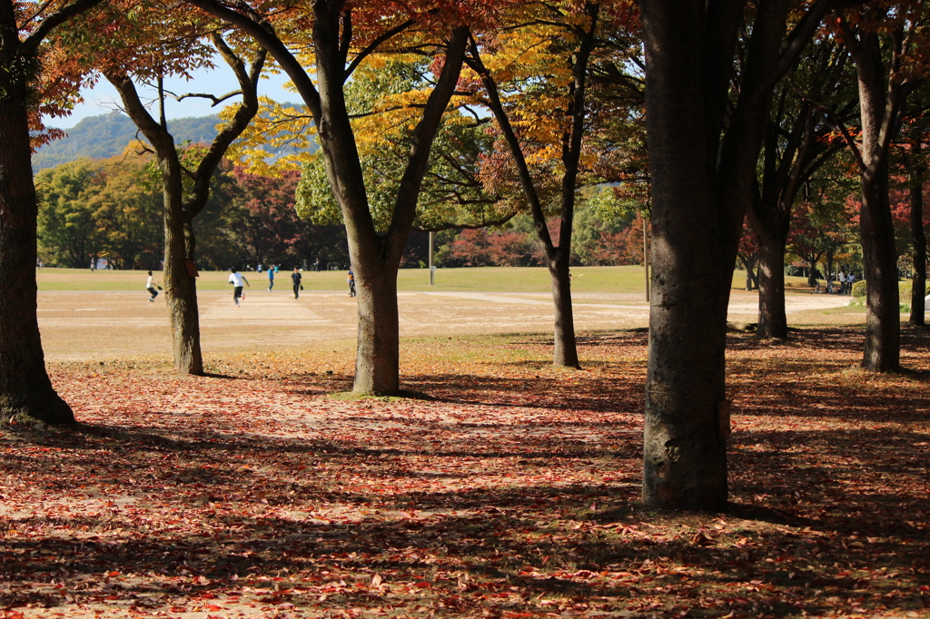 公園