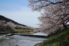 千本桜