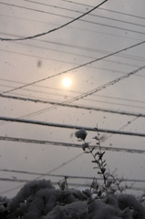 雪の朝