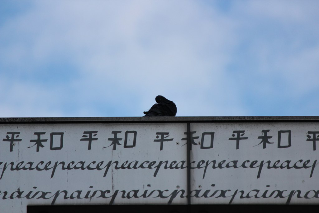 鳩