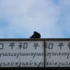 鳩
