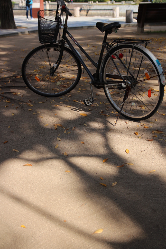 自転車