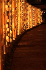 花灯路