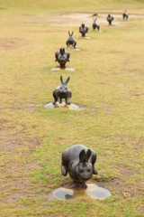 うさぎ