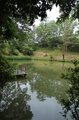 池