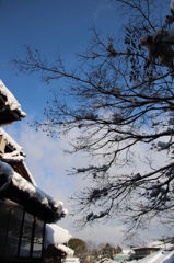 雪の東山