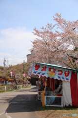 サメつり