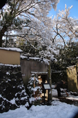 雪の東山