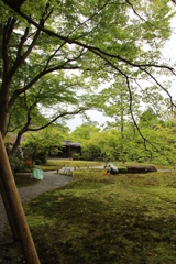 作業中