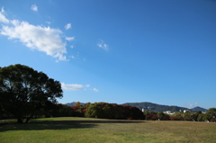 公園 公園