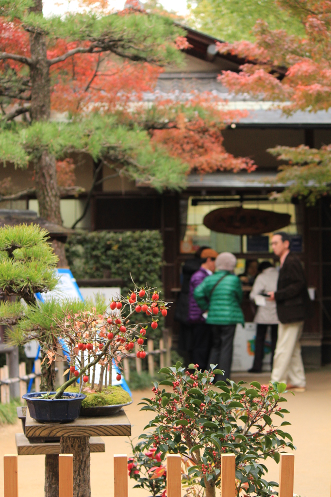 縮景園