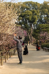 撮影＠縮景園