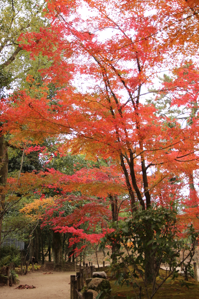 縮景園
