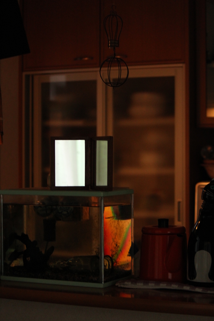 だいどころに虹