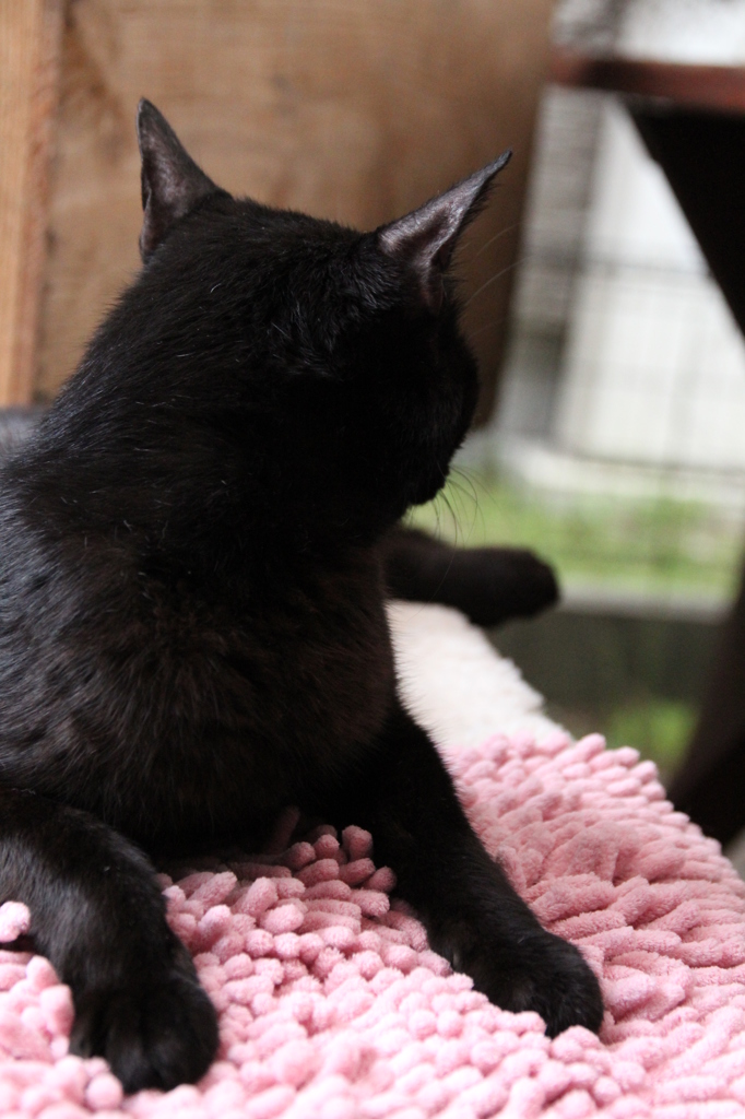 おかあさんってば。