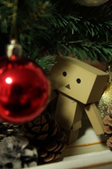 ダンボーツリーの下で