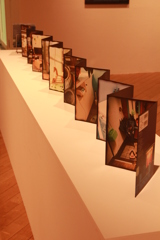 イルヨイルイル　モノモノノケ 展