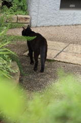 おかあさん