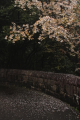 雨降り