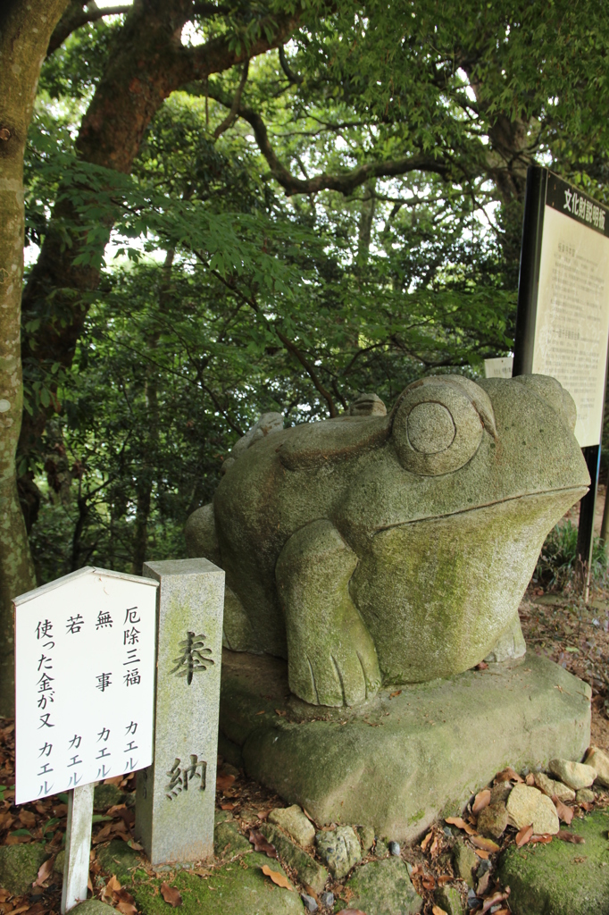 極楽寺　お願い。若がえりたい。