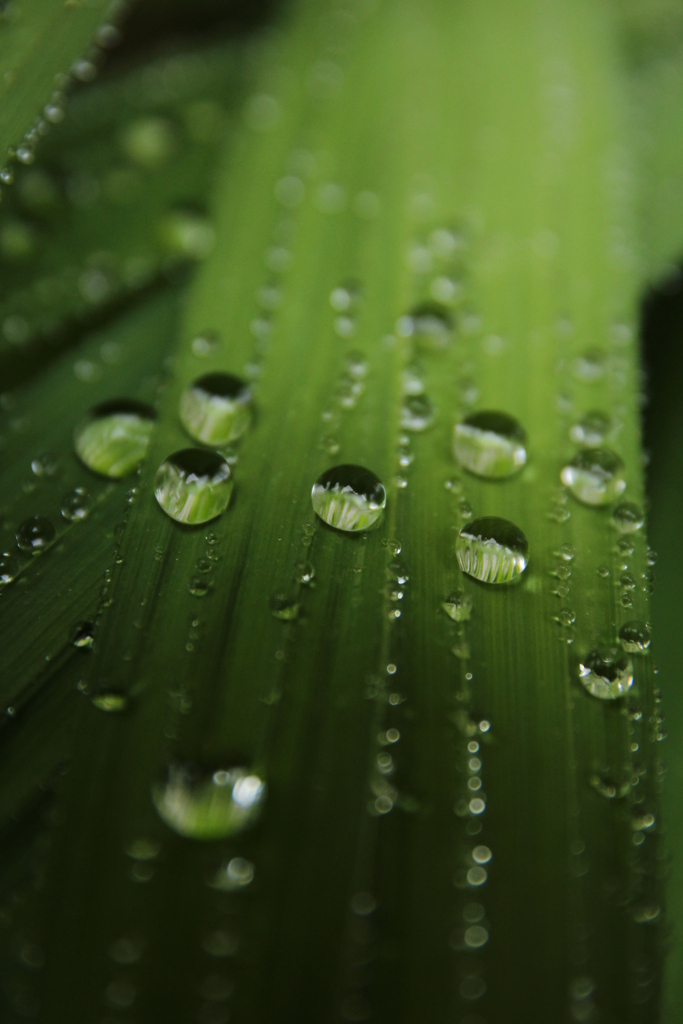 雨の日